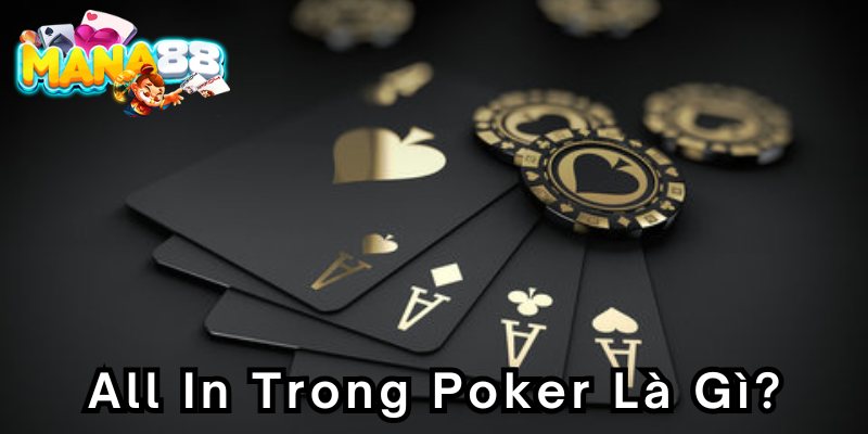 all-in-trong-poker-800x400