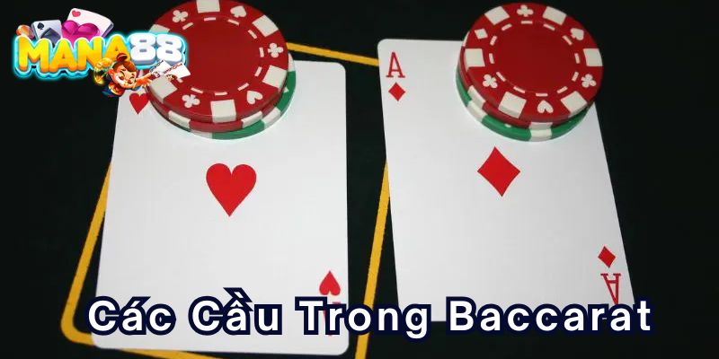 cac-cau-trong-baccarat-800x400