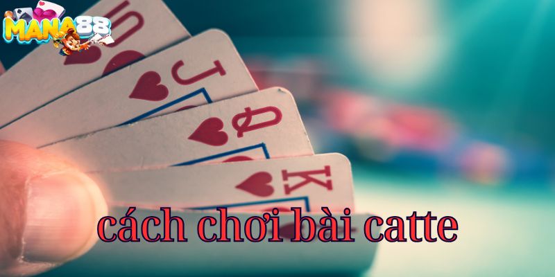 cach-choi-bai-catte-800x400-1