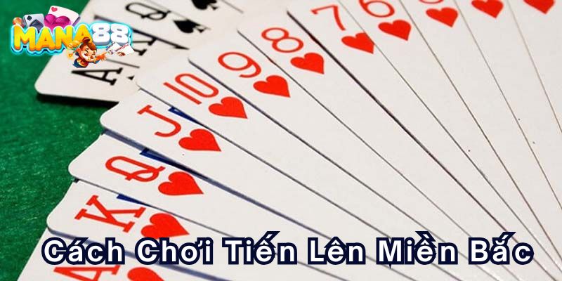 cach-choi-tien-len-mien-bacx800x400