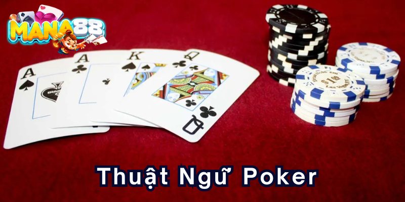 thuat-ngu-poker-800-x-400