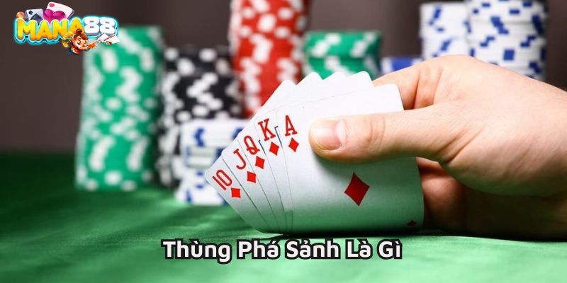 thung-pha-sanh-la-gi-800x400